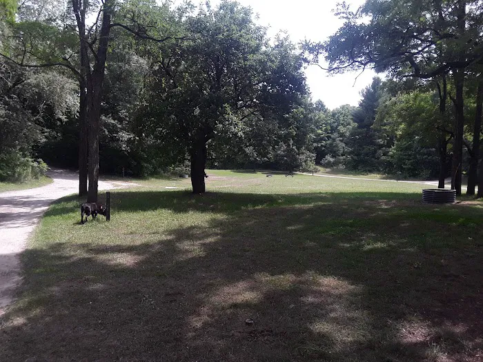 Garey Lake Trail Camp 6
