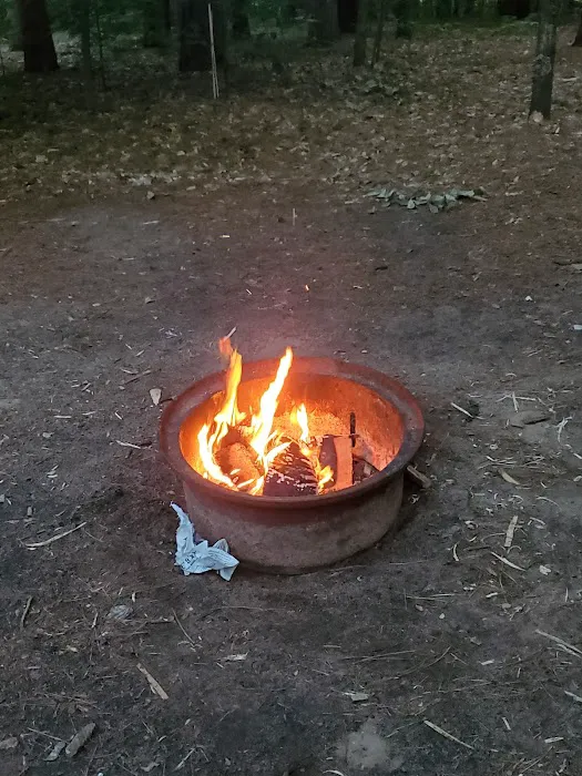 Empire Township Campground 1