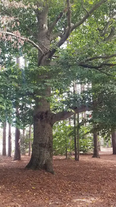Empire Township Campground 4