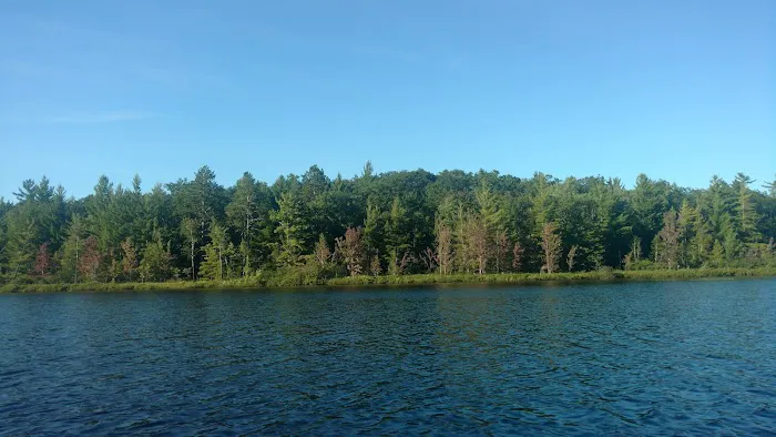 Spring Lake State Forest Campground 0