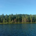 Spring Lake State Forest Campground