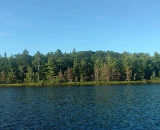 Spring Lake State Forest Campground