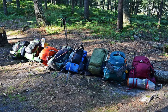 Spring Lake State Forest Campground 9