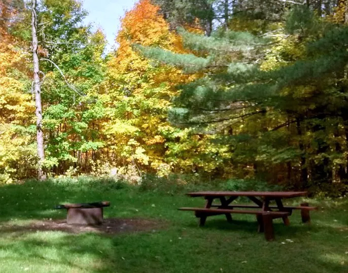Baxter Bridge State Forest Campground 3