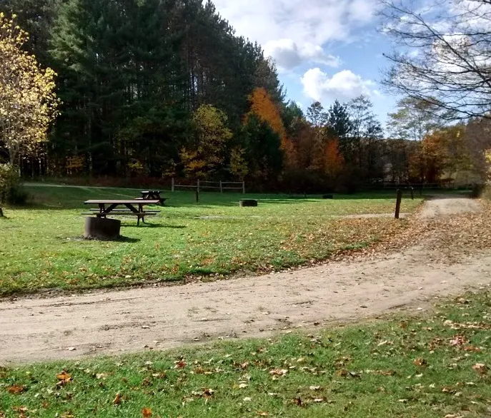 Baxter Bridge State Forest Campground 2