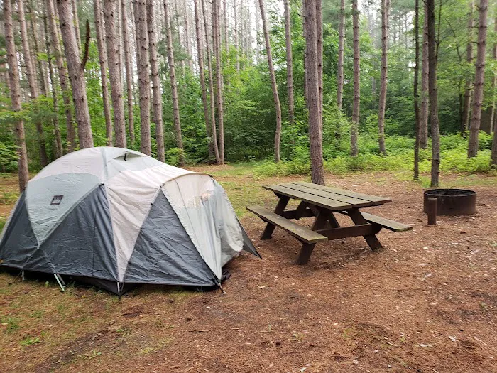 Baxter Bridge State Forest Campground 7