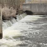 Grass Lake State Forest Campground