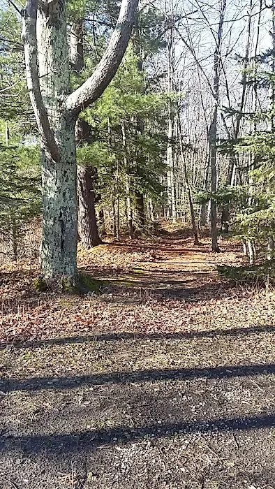 Grass Lake State Forest Campground 7