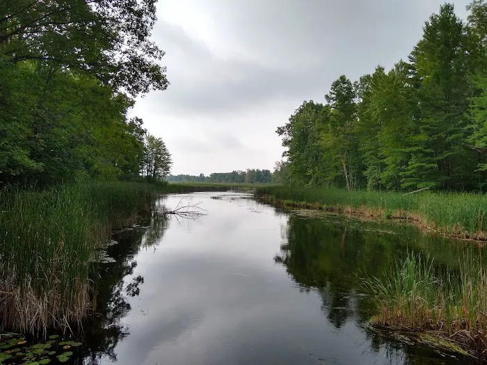 Grass Lake State Forest Campground 5