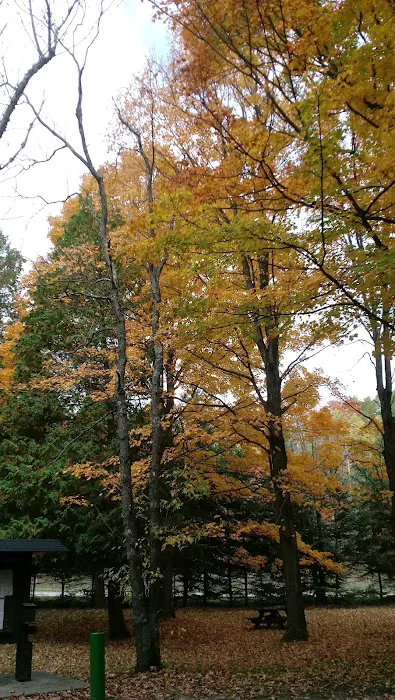 Veterans Memorial State Forest Campground 6