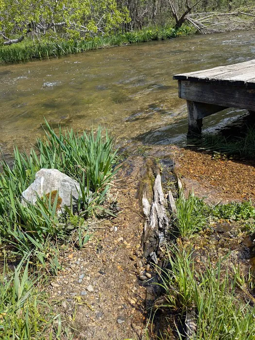 Veterans Memorial State Forest Campground 9
