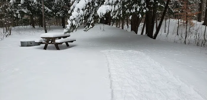 Veterans Memorial State Forest Campground 5