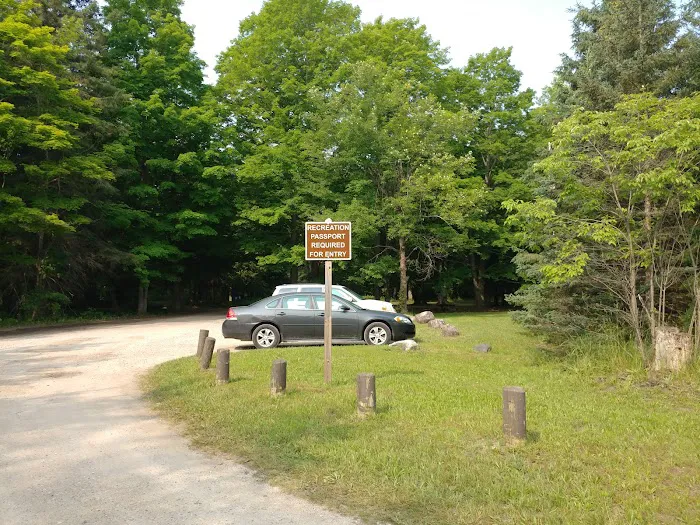 Veterans Memorial State Forest Campground 4