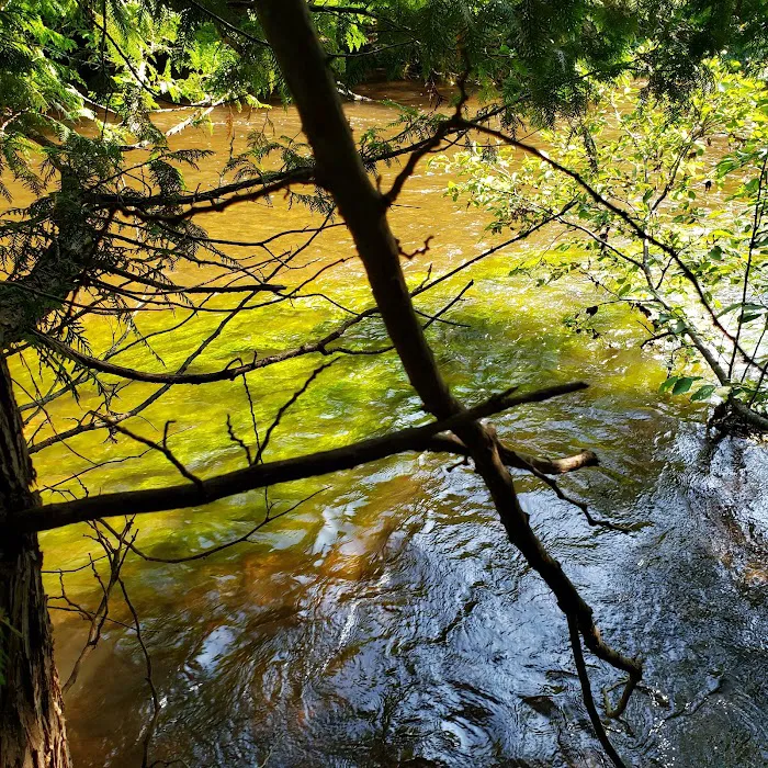 Platte River State Forest Campground 7