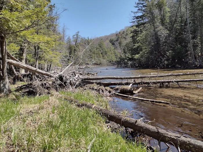 Platte River State Forest Campground 0