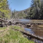 Platte River State Forest Campground