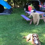 Llovely Meadows Campgrounds