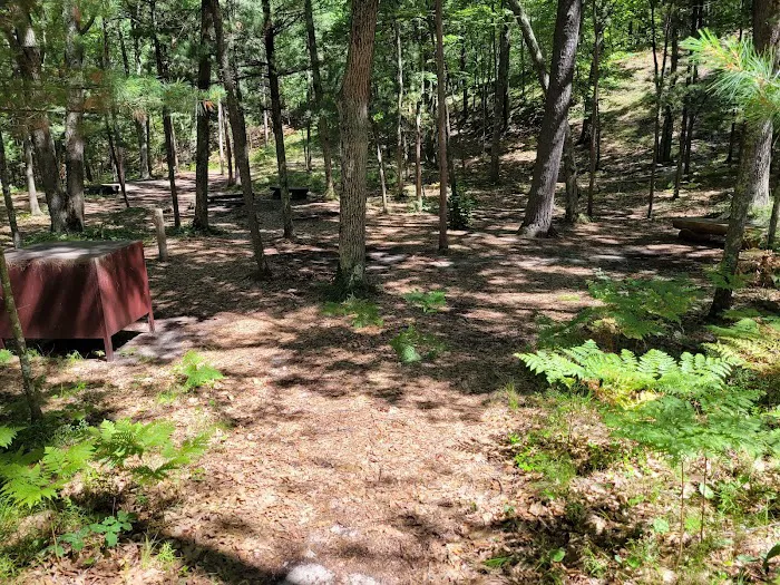 White Pines Backcountry Campground 6