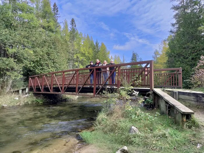 Pinney Bridge State Forest Campground 3
