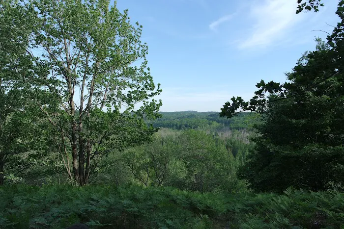 Pinney Bridge State Forest Campground 0