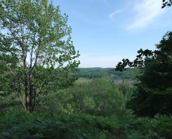 Pinney Bridge State Forest Campground