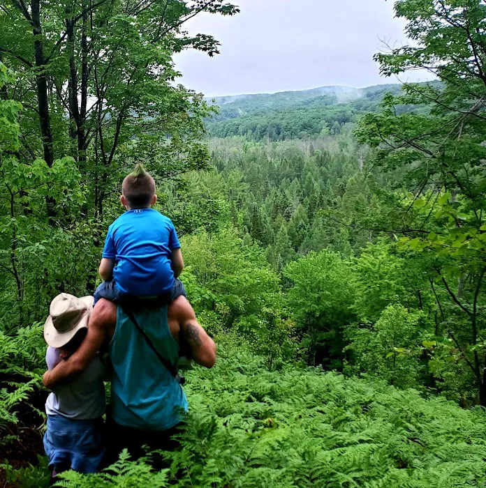 Pinney Bridge State Forest Campground 9