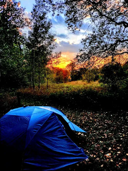 Pinney Bridge State Forest Campground 1