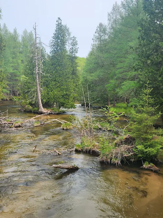 Pinney Bridge State Forest Campground 2