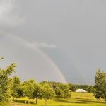 OffBeat Acres - Camp Chill AF!