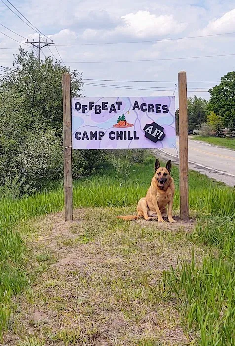 OffBeat Acres - Camp Chill AF! 6