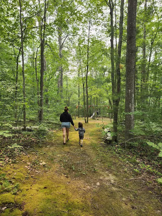 Lakes of the North Campground 6