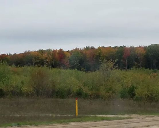 Lakes of the North Campground