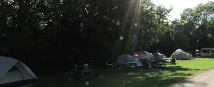 Betsie River Campsite 7