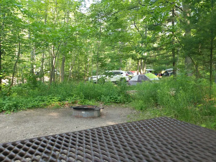 D. H. Day Campground 6