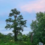 Sugar Maple Grove Campground