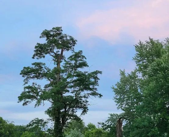 Sugar Maple Grove Campground