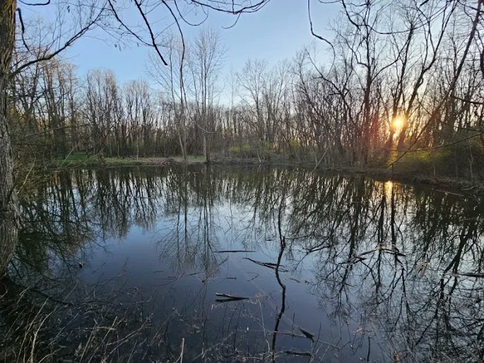 Hodapp Holler 6