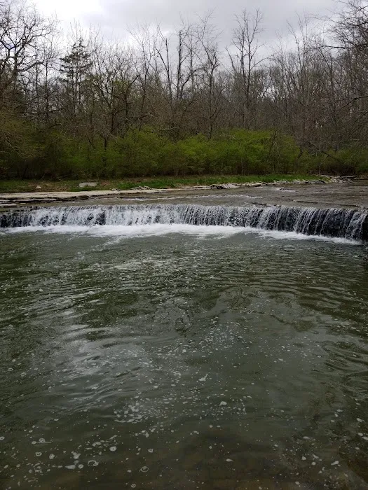 Hueston Woods Campground 6