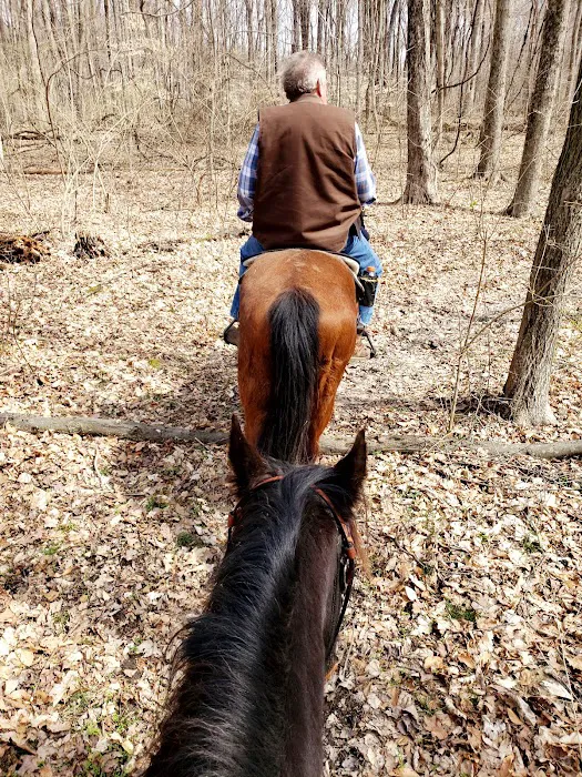 Hueston Woods State Park Horse Camp 1