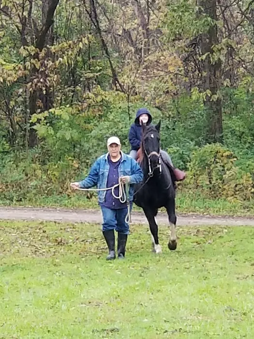 Hueston Woods State Park Horse Camp 8
