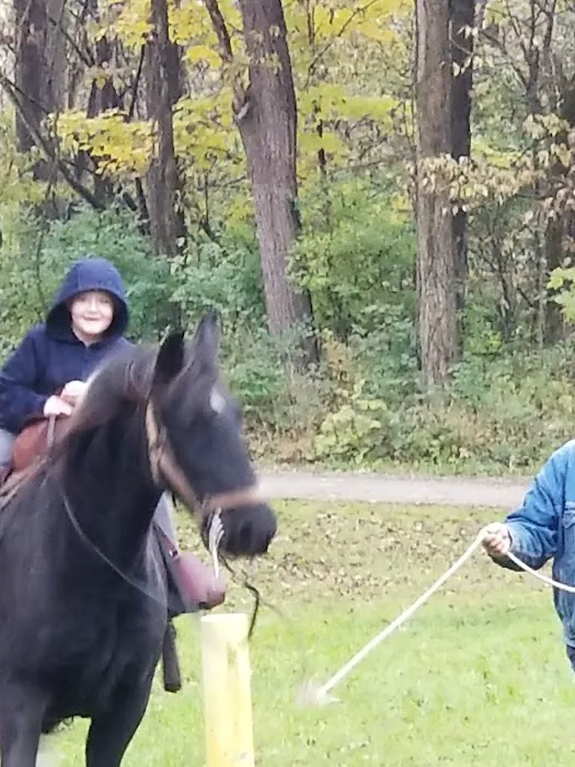 Hueston Woods State Park Horse Camp 9