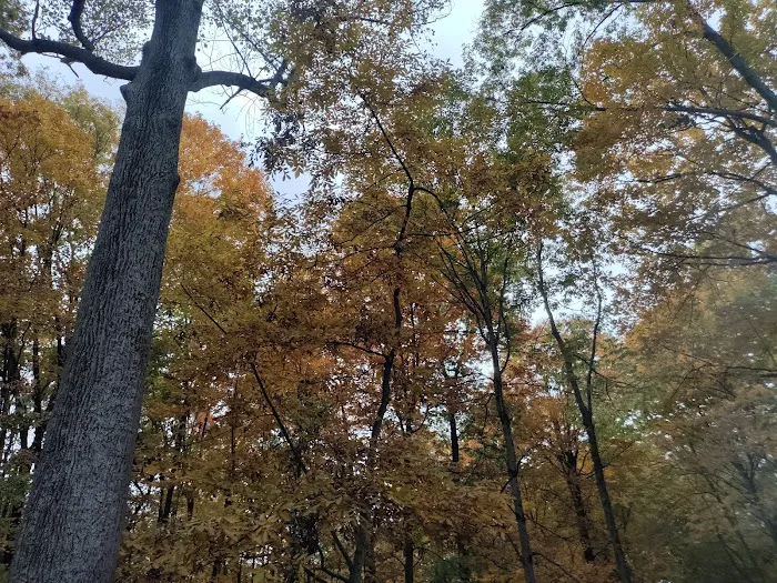 Deer Run Property Owners Association 3