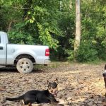 Cotton Wood Camp Grounds