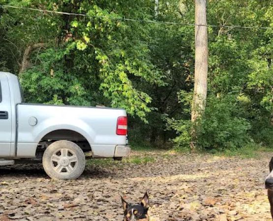 Cotton Wood Camp Grounds