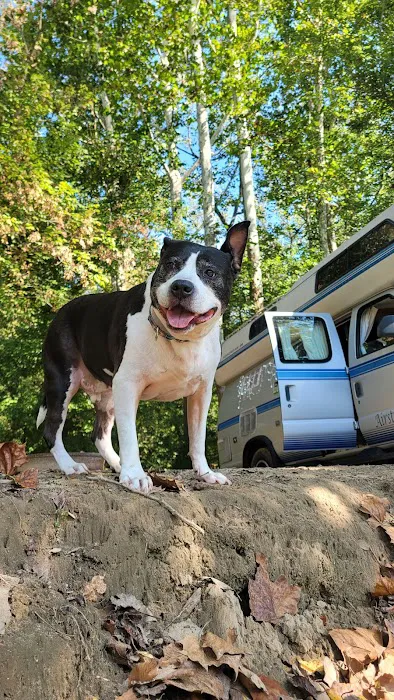 Cotton Wood Camp Grounds 1