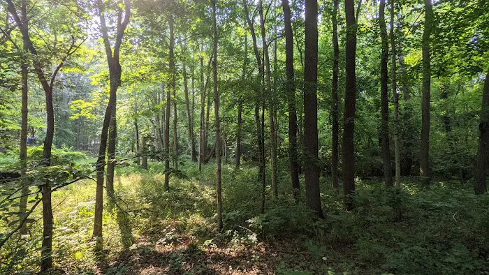 The Lake of the Woods Campground 5