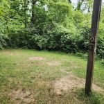 Oak Ridge Backcountry Campsite