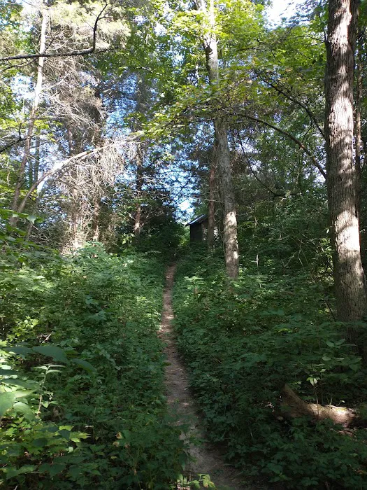 Cedar Ridge Backcountry Campsite 6
