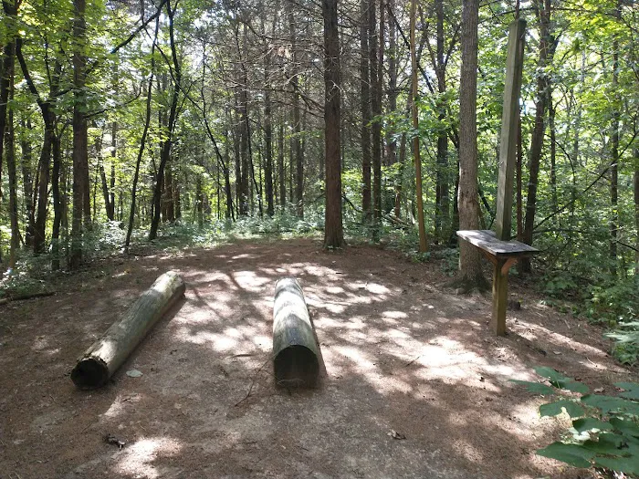 Cedar Ridge Backcountry Campsite 2