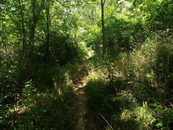 Westwood Park 8
